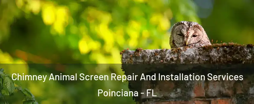  Chimney Animal Screen Repair And Installation Services Poinciana - FL
