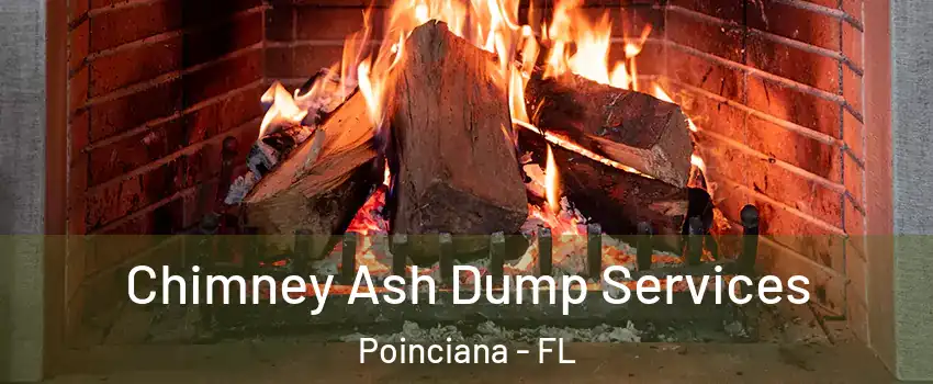  Chimney Ash Dump Services Poinciana - FL
