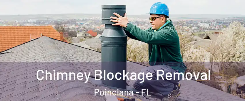  Chimney Blockage Removal Poinciana - FL