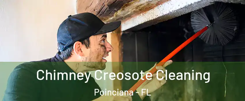  Chimney Creosote Cleaning Poinciana - FL