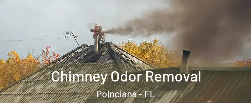  Chimney Odor Removal Poinciana - FL