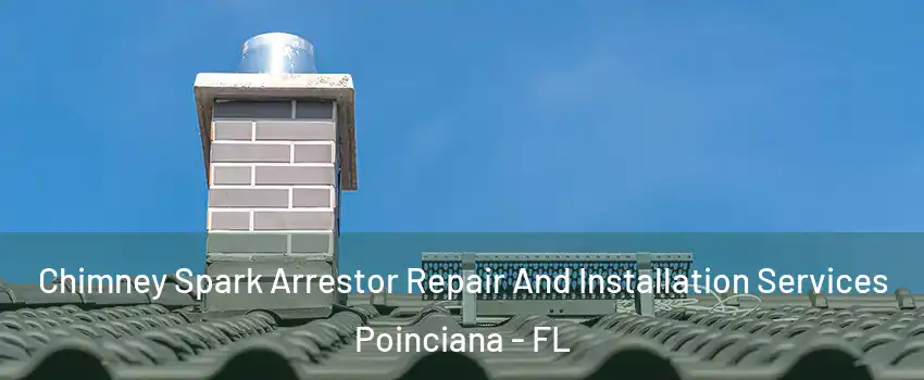  Chimney Spark Arrestor Repair And Installation Services Poinciana - FL