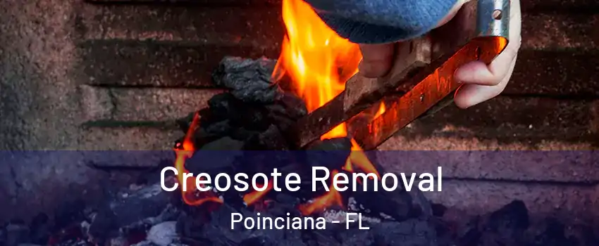  Creosote Removal Poinciana - FL