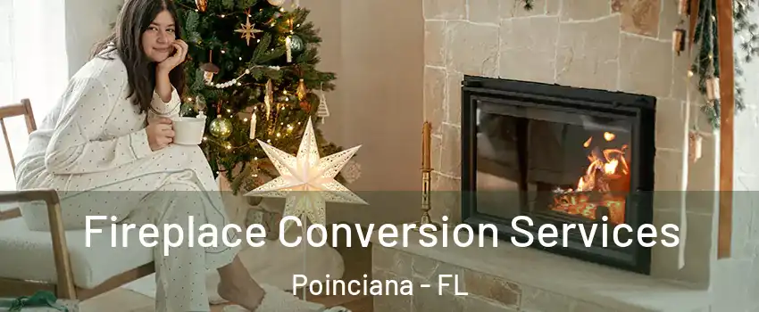  Fireplace Conversion Services Poinciana - FL
