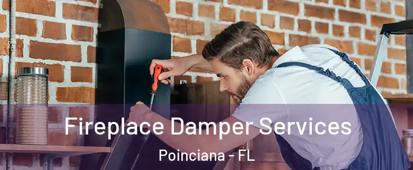  Fireplace Damper Services Poinciana - FL