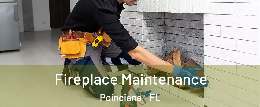 Fireplace Maintenance Poinciana - FL