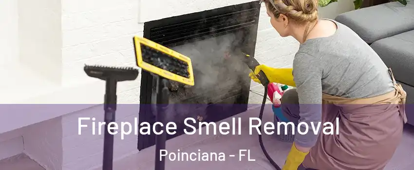 Fireplace Smell Removal Poinciana - FL