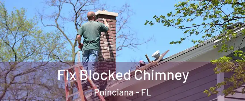  Fix Blocked Chimney Poinciana - FL