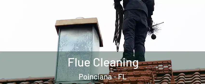  Flue Cleaning Poinciana - FL