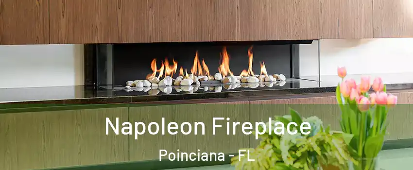  Napoleon Fireplace Poinciana - FL