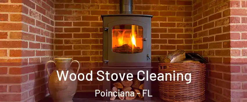  Wood Stove Cleaning Poinciana - FL